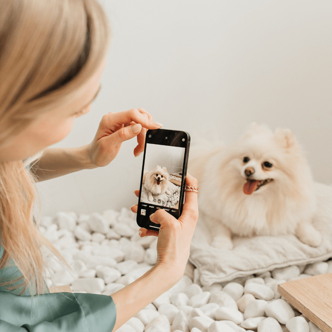 Upload your picture to get started